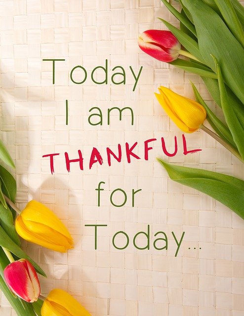 Gratitude is one of the cornerstones of good mental health.